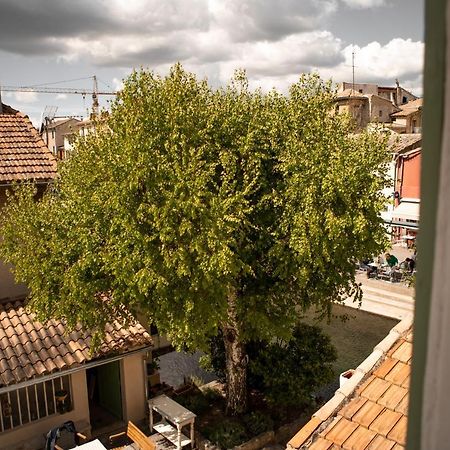 La Maison Du Bassin LʼIsle-sur-la-Sorgue Dış mekan fotoğraf