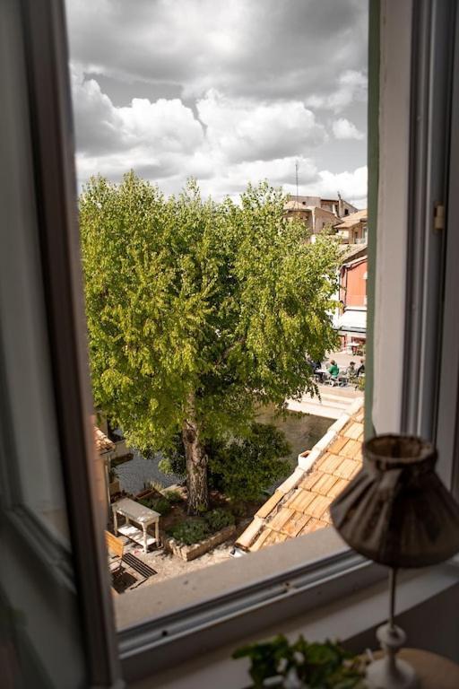 La Maison Du Bassin LʼIsle-sur-la-Sorgue Dış mekan fotoğraf